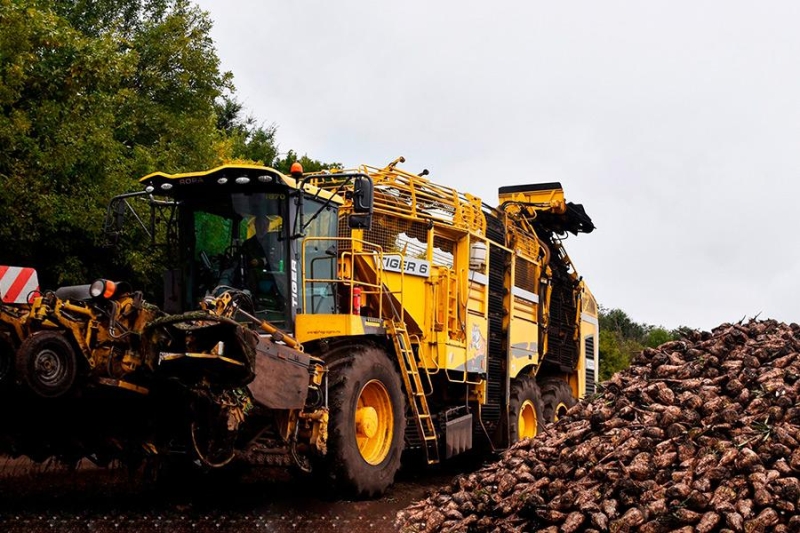 Курская область: границы, административное деление, экономика