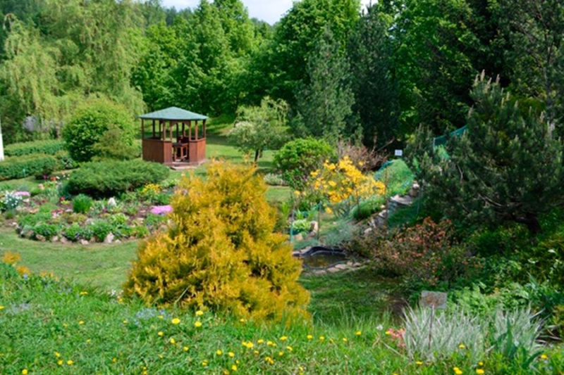 Курская область: границы, административное деление, экономика