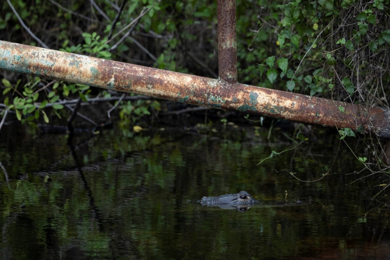 Лавров заявил, что Зеленский ответил «нет» на все предложения Трампа