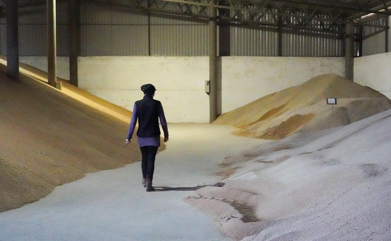 Лавров заявил о «небольшом обострении» из-за продления зерновой сделки