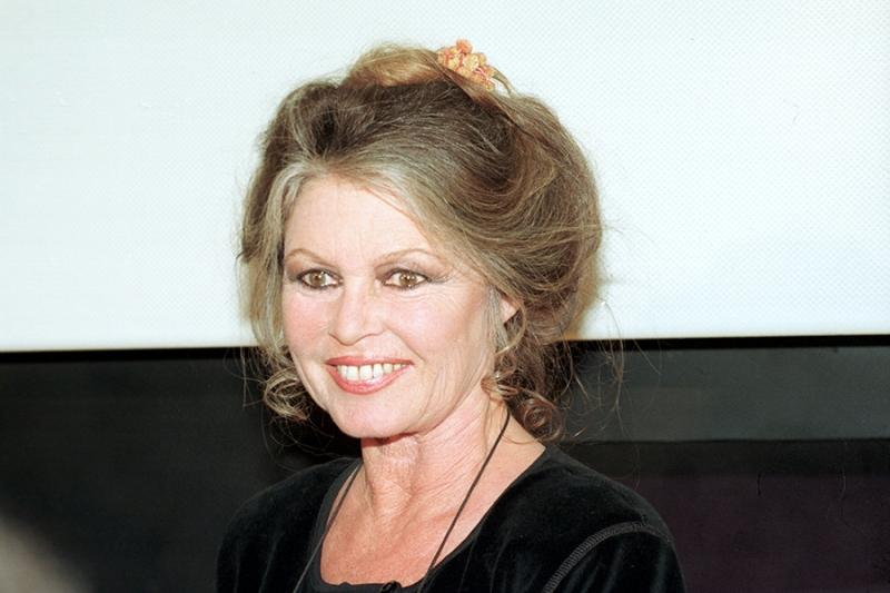 «Любовь — единственный смысл жизни»: история Брижит Бардо в