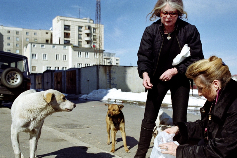 «Любовь — единственный смысл жизни»: история Брижит Бардо в