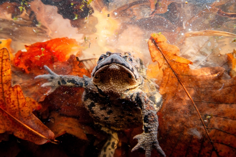 Лучшие фото 2024 года. Выбор РБК