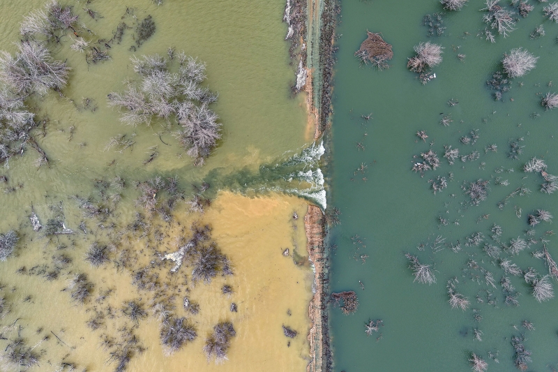 Лучшие фото 2024 года. Выбор РБК