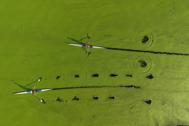 Лучшие фото 2024 года. Выбор РБК