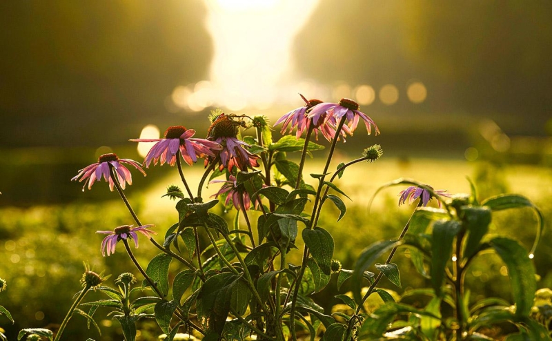Майский снегопад привел к перебоям со связью и светом под