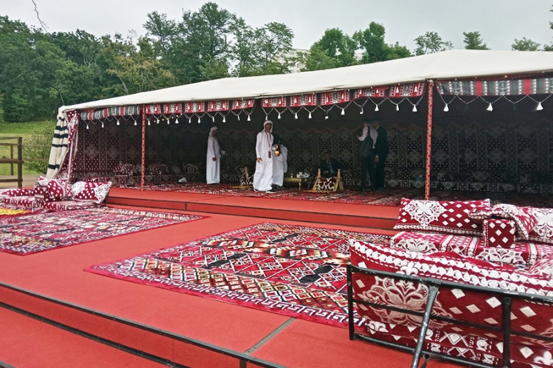Мамонт и БАМ на первом дне ВЭФ. Фоторепортаж