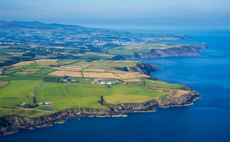 Маск анонсировал создание андроида Tesla Bot