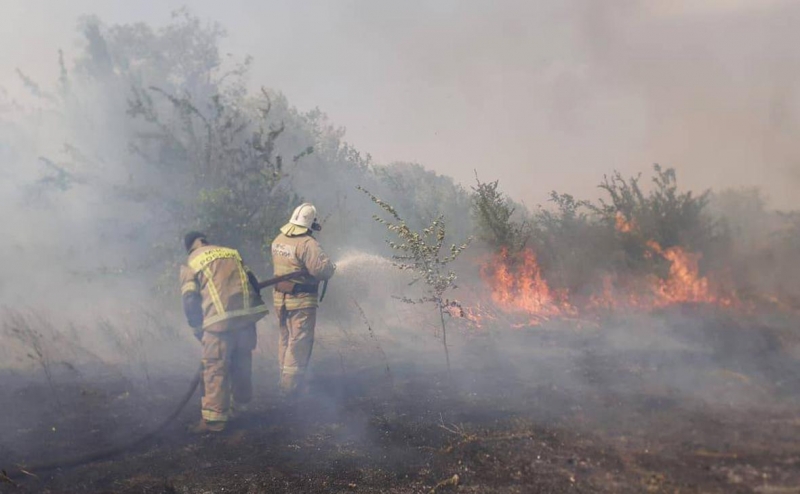 МЧС начало тушить пожар на площади более 200 га в Ростовской области