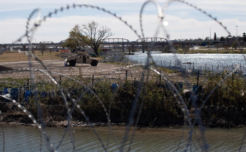Медведев оценил шансы на создание Техасской народной республики