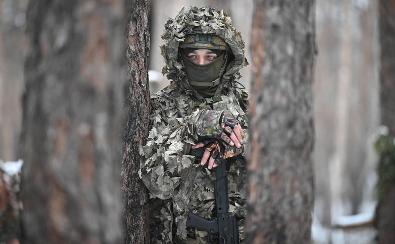 Медведев раскрыл число заключивших контракт в 2024 году