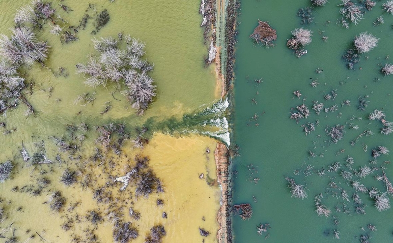 Мэр Орска отверг версию о прорыве дамбы из-за грызунов