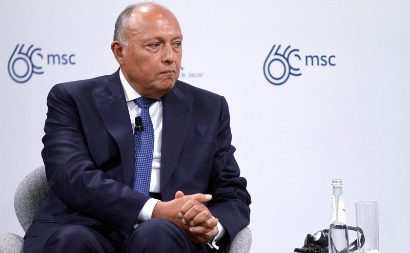 МИД Египта обвинил ХАМАС в расколе Палестины