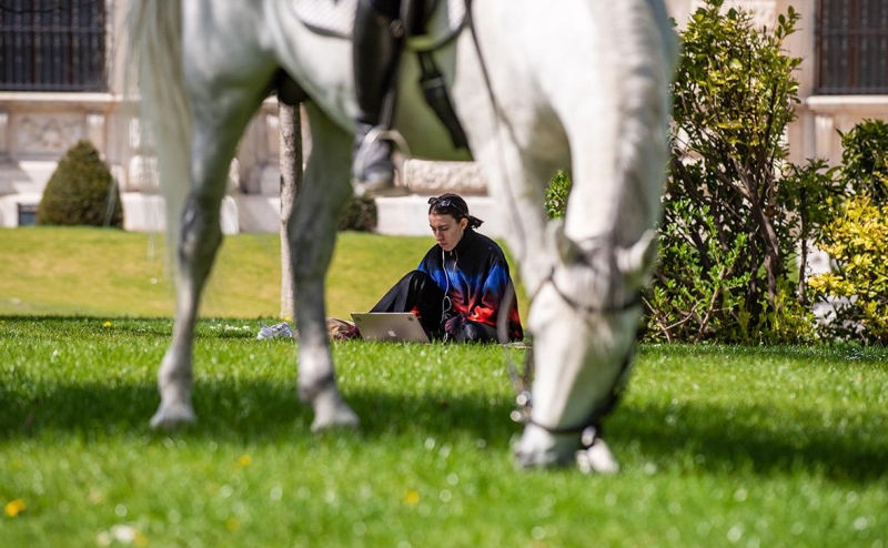 МИД предложил разрешить подтверждать аккаунт «Госуслуг» из-за рубежа