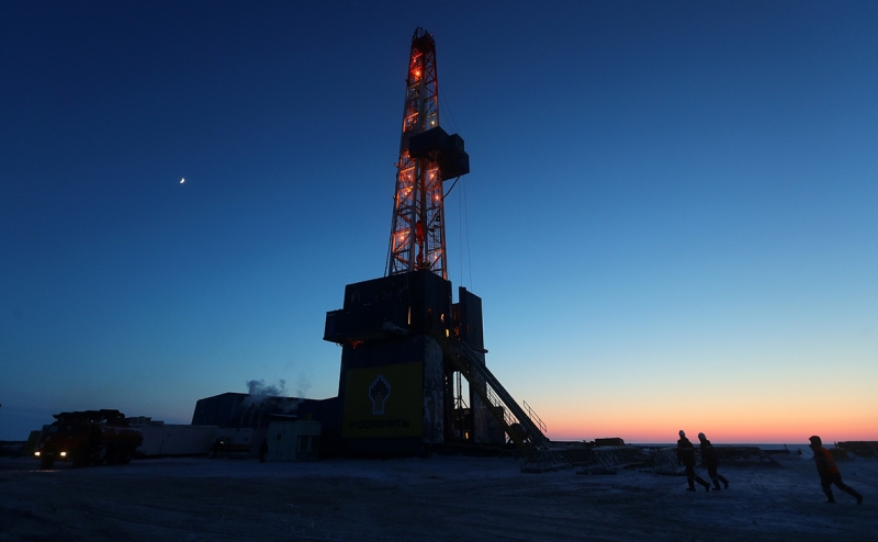 Михельсон заявил о сотрудничестве с &laquo;Газпромом&raquo; по &laquo;моржам и медведям&raquo;