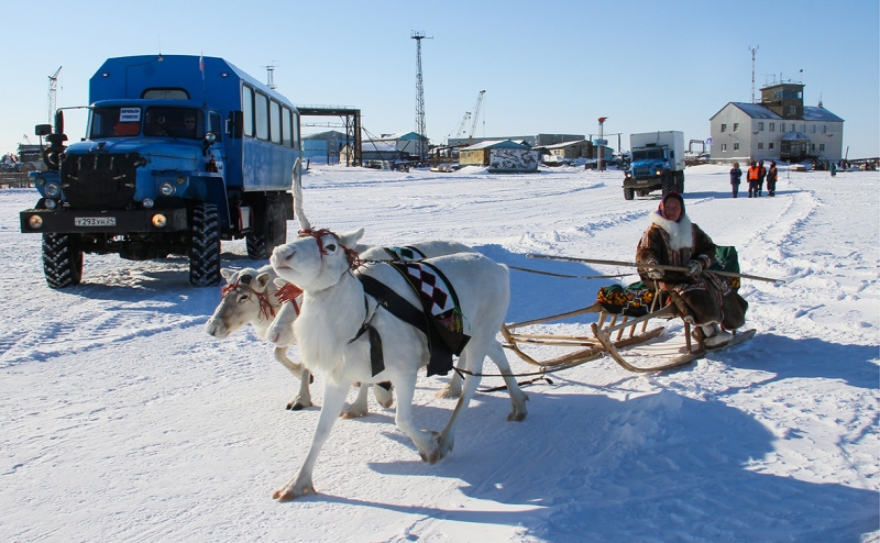 Михельсон заявил о сотрудничестве с &laquo;Газпромом&raquo; по &laquo;моржам и медведям&raquo;