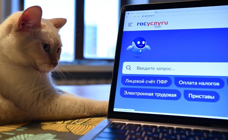 Минцифры объяснило появление на &laquo;Госуслугах&raquo; данных о месте проживания