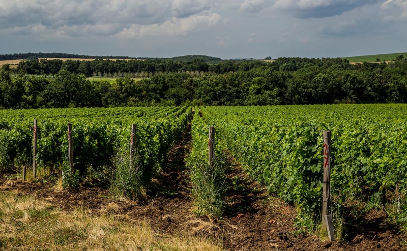 Минэкономразвития предложило узаконить невозвратные тарифы в отелях
