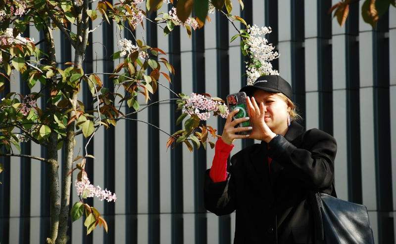 Минфицры предложило разработать нормы регулирования работы блогеров