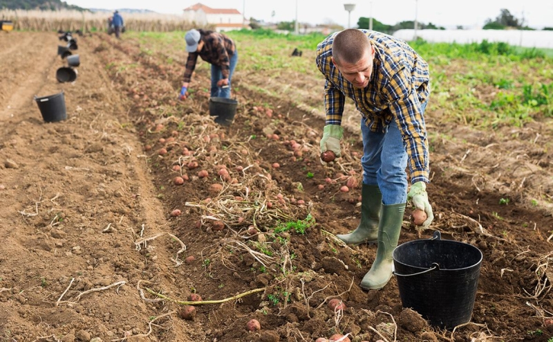 Минюст признал иноагентами политолога Становую и центр «Сова»