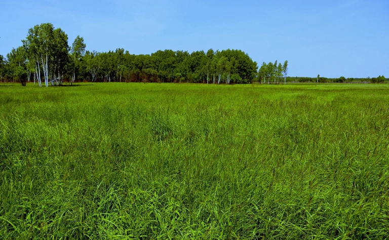 Минобороны объявило о начале нового этапа нестратегических ядерных