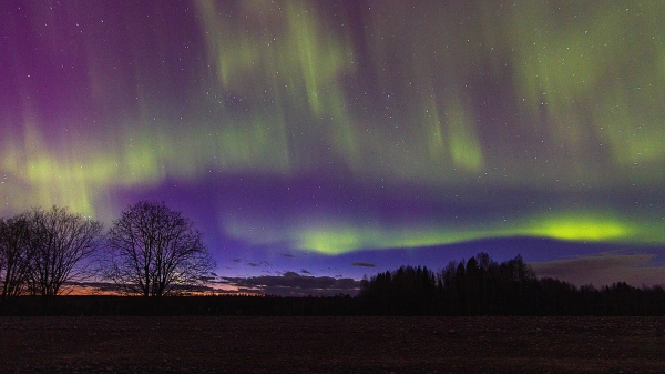 Минобороны сообщило о взятии под контроль Преображенки в ДНР