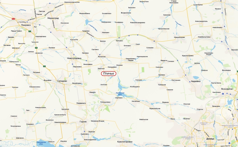 Минобороны сообщило о взятии поселка Птичье в ДНР