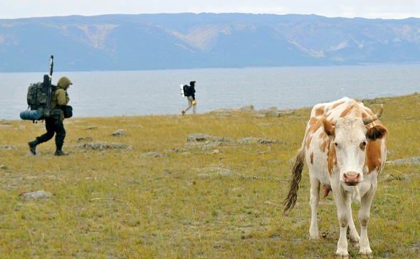 Минобороны сообщило об ударах по газовой инфраструктуре на Украине