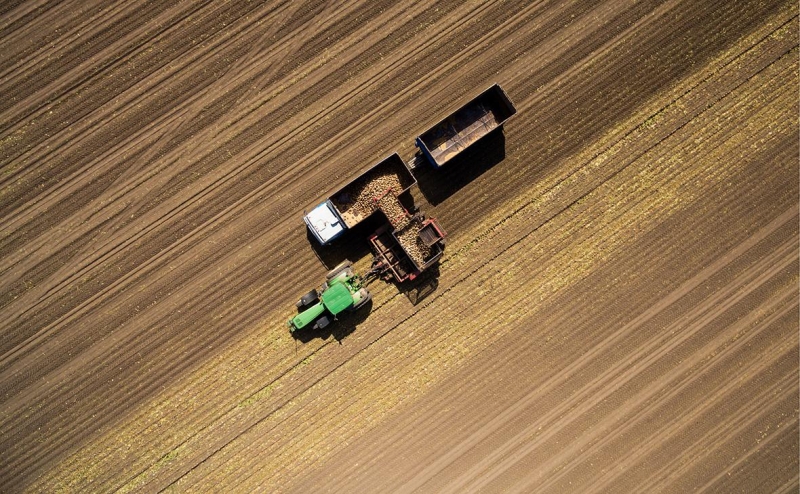 Минсельхоз попросит ФАС проверить рост цен на российские комбайны