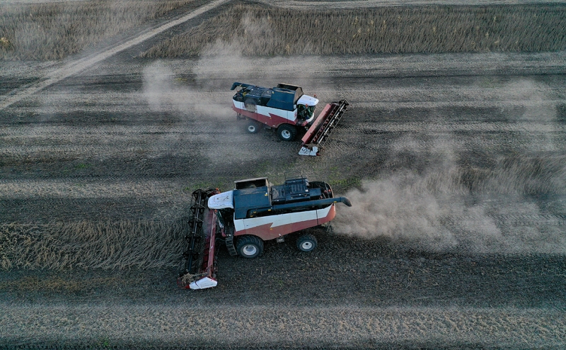 Минсельхоз попросит ФАС проверить рост цен на российские комбайны