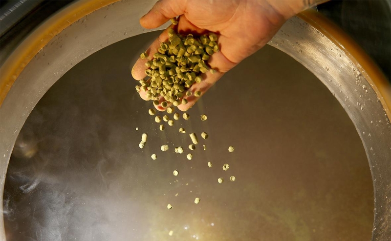 Минсельхоз посоветовал пивоварам самим финансировать производство