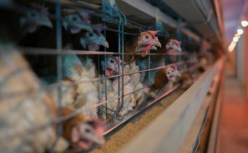 Минсельхоз посоветовал пивоварам самим финансировать производство