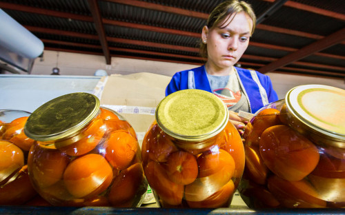 Минсельхоз предложил завозить рабочих-мигрантов на чартерных поездах