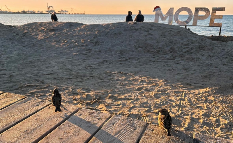 Минтранс объявил о начале проверки танкерного флота России