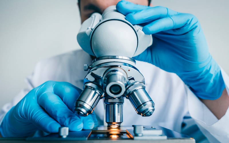 Минтранс предложил установить европейские тарифы на платных дорогах