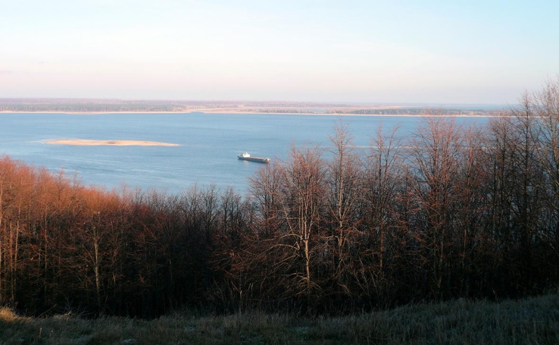 Мобилизация, аборты и цены: главные заявления Путина на прямой линии