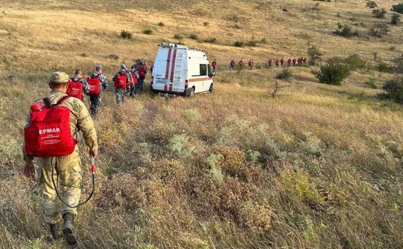 МВД связало пожар в Коктебеле с нарезкой металла