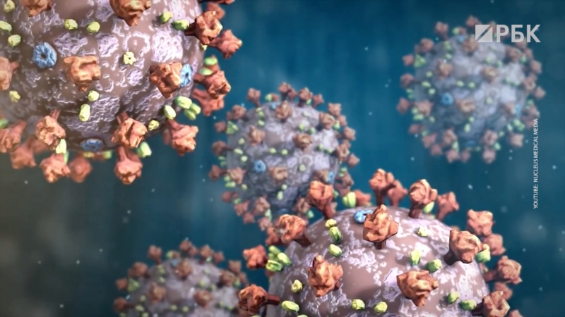 Мыши, синтез, гады с рынка: откуда два года назад появился коронавирус