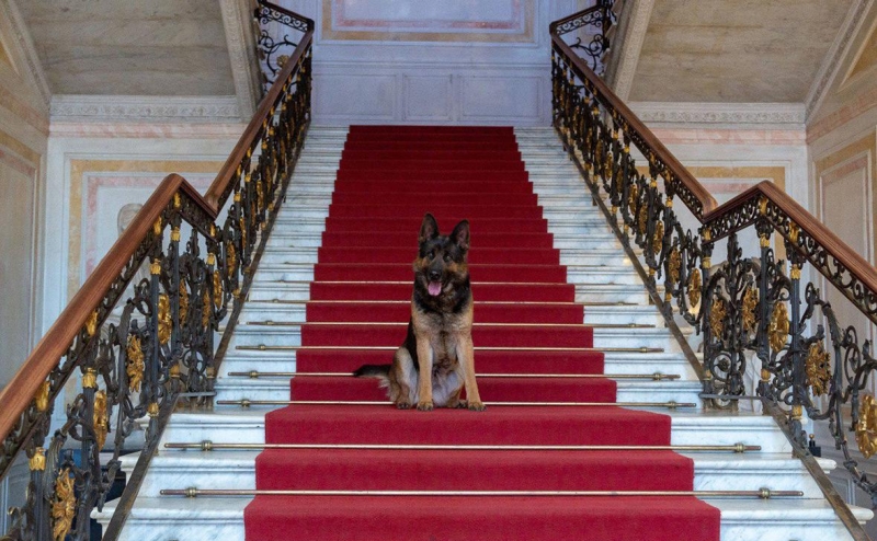 На юге Москвы перекрыли улицу для обследования саперами автомобиля