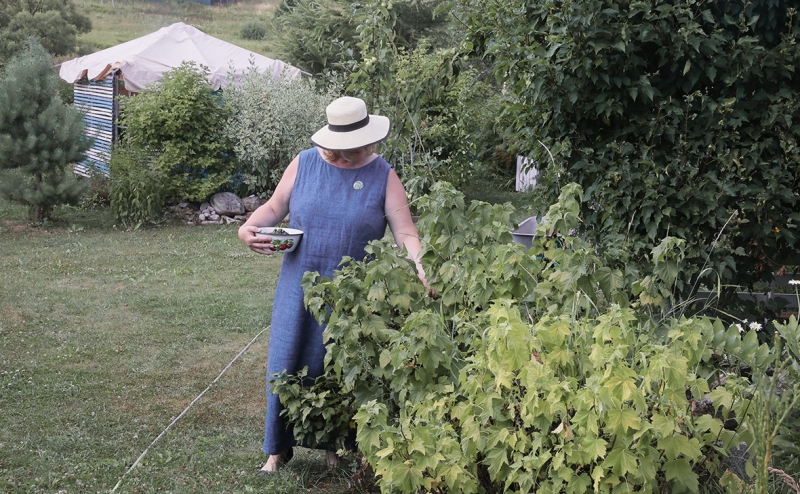На поезда в южном направлении появятся дополнительные полмиллиона билетов
