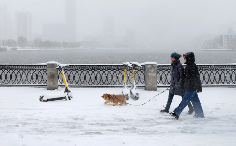 На севере Москвы произошла стрельба