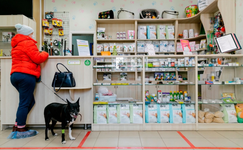 На сколько подорожало содержание домашних животных в 2022 году