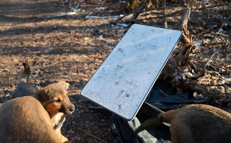 На Украине оценили риск отключения от Starlink