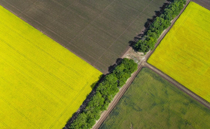 На Украине пообещали поставить штрих-код на каждый куст марихуаны