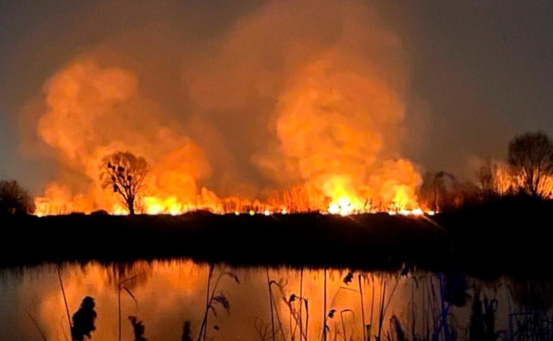 На Украине сообщили о масштабном пожаре в Николаеве и угрозе детонации