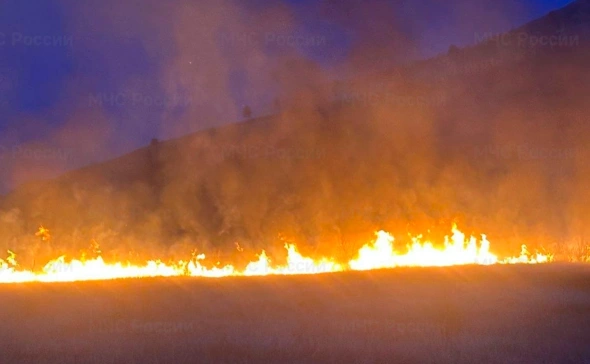Национальная Медиа Группа запустит приложение с вертикальными