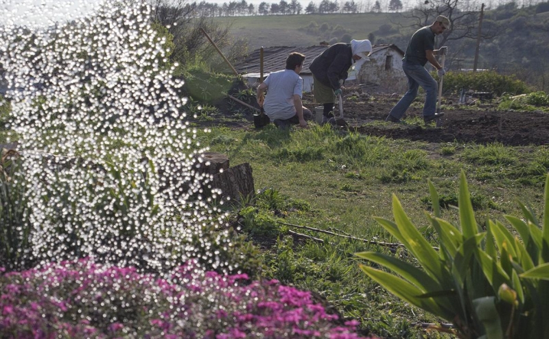 Награжденным за операцию на Украине предложили давать участки в Крыму