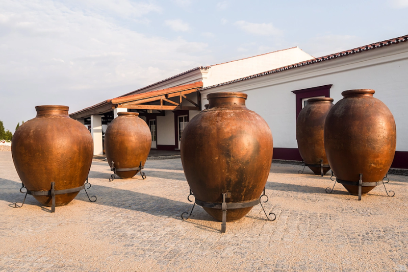 NBC News рассказал о звонке Трампа Байдену на День благодарения