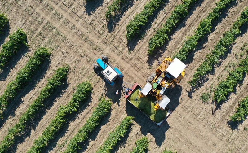 Нефтяники пожаловались Подносовой на «тайное изъятие активов»