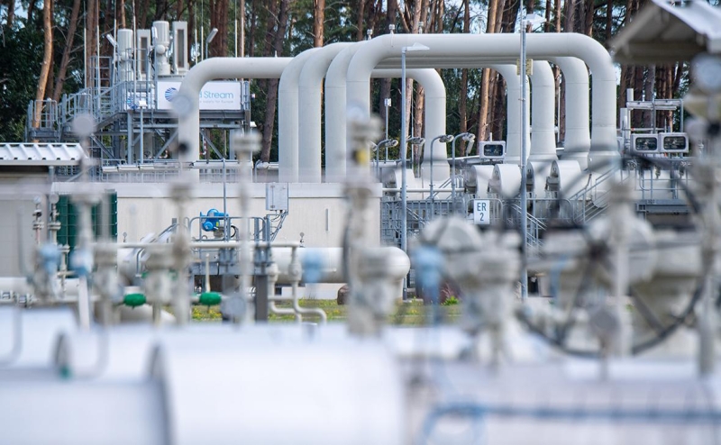 Немецкая партия АдГ не стала осуждать Россию из-за конфликта на